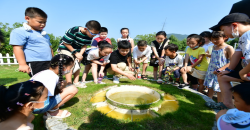 走進自然 感知世界：浙江中小學生暑期生活豐富多彩