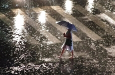 暴雨来袭！和孩子一起学习这份暴雨洪灾避险自救指南！