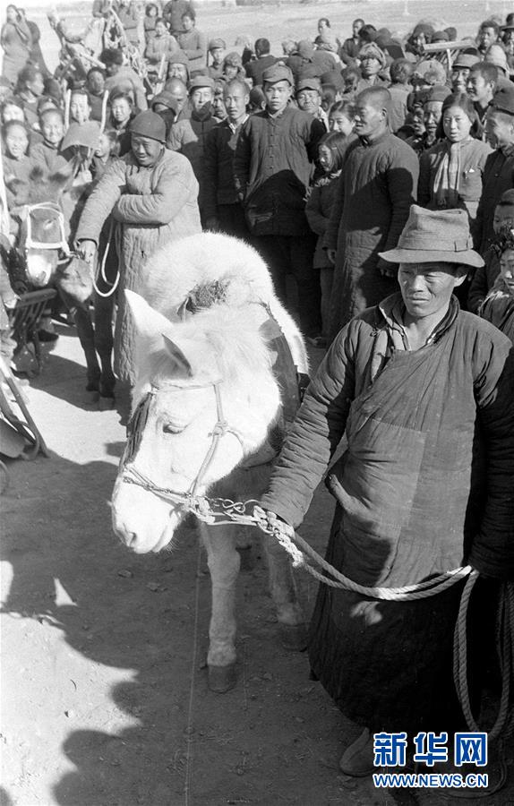 （壮丽70年·奋斗新时代——新中国峥嵘岁月·图文互动）（3）废除封建土地制度