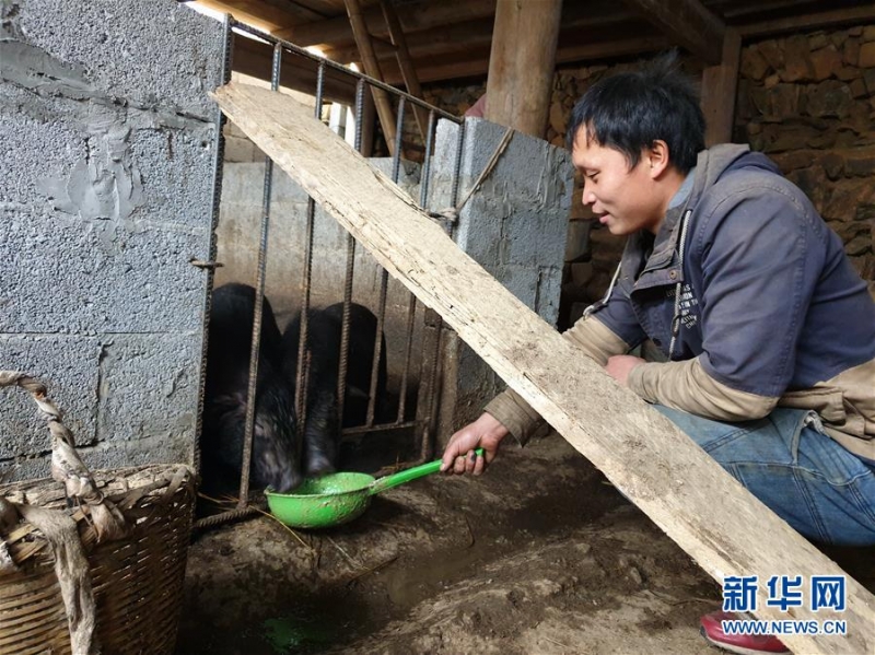 （新春走基层·图文互动）（3）“云上瑶寨”的新年变化