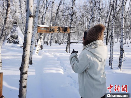 图为行走在白桦林中的台湾学子。　李爱平 摄