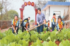 开展劳动教育，助力健康成长（健康视线）