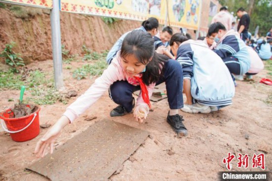 惊蛰时节广西南宁小学生进行田间研学