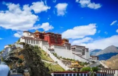 2023年西藏成人高考报名入口
