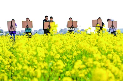 花海中写生