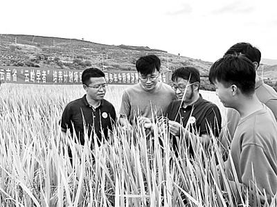 打造“知农爱农”一流人才方阵