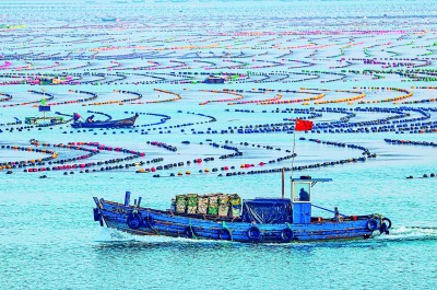 海洋牧场 海洋牧场
