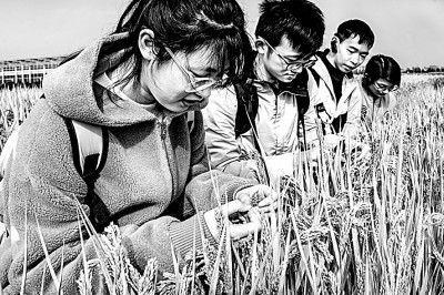 师范教育，如何为薄弱地区培养“优师”