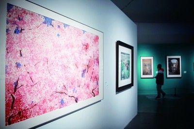 武汉大学130周年校庆全国艺术名家邀请展在武汉举行 武汉大学130周年校庆全国艺术名家邀请展在武汉举行