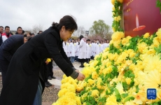 清明前夕 医学师生致敬“无言良师”