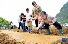 广西柳州：体验农耕文化 感受田间乐趣