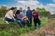 湖南东安开设“乡村学堂” 技术专家田间“把脉开方”