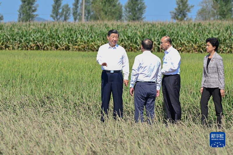 ></p><p>　<span >　9月6日至8日，中共中央总书记、国家主席、中央军委主席习近平在黑龙江考察。这是7日上午，习近平在遭受洪涝灾害的哈尔滨尚志市老街基乡龙王庙村，察看水稻受灾情况。（新华社记者 殷博古/摄）</span></p><p style=
